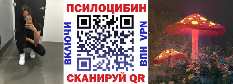 Купить закладки Шадринск Псилоцибиновые грибы Cubensis